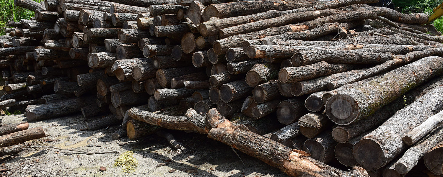 森の薪・炭工房